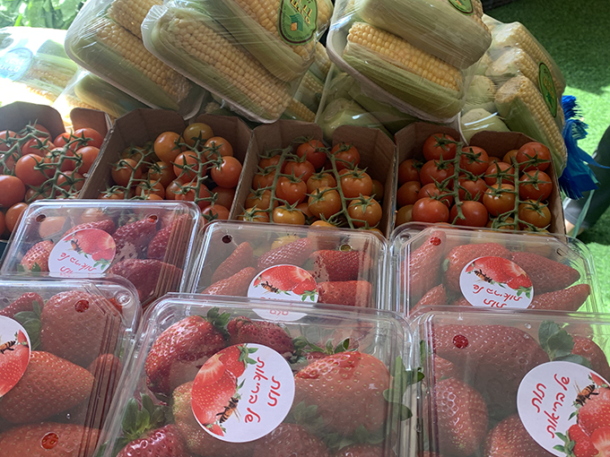 فواكه وخضروات ابو مروان